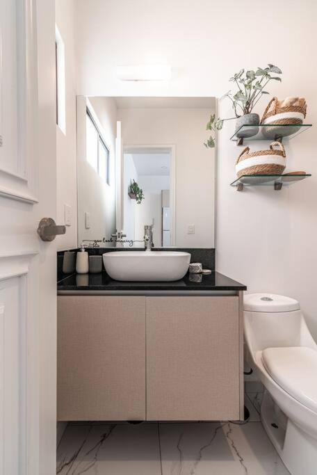 Tonala Roma Sur By Homes Mexico City